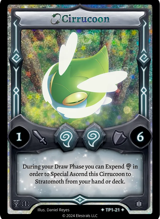Cirrucoon — FE-TP1-21