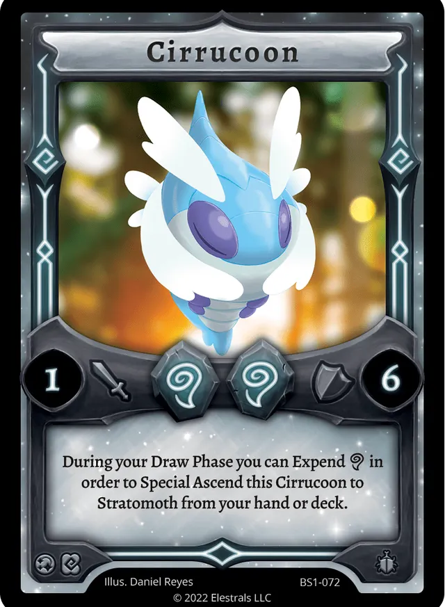 Cirrucoon
